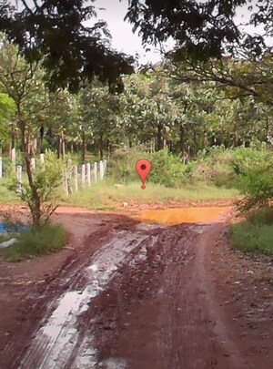  Plot For Sale in Jakkuru