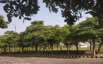 2 BHK Apartment For Rent in Eros Southend Apartments, Charmwood Village