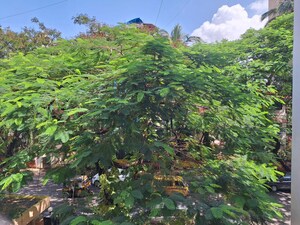 2 BHK Apartment – Exterior View View at Kaveri Apartment Sector 14, Vashi Sector 14 - for Sale