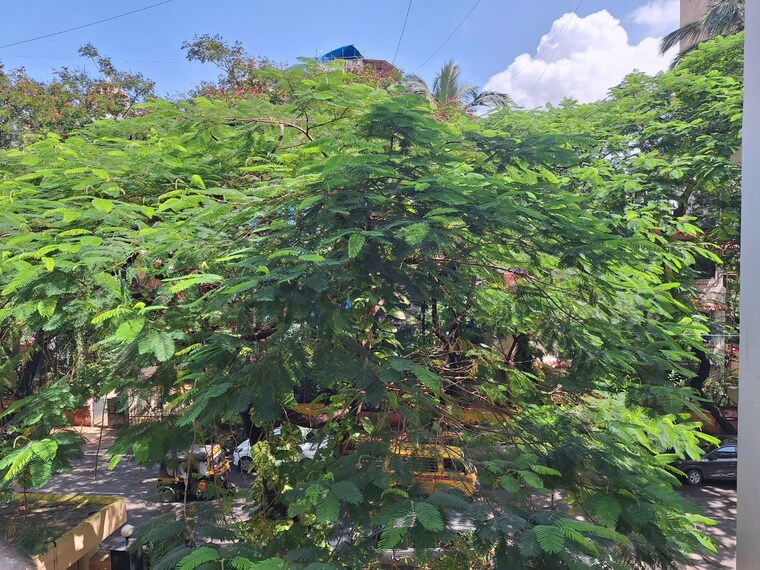 Exterior View, kaveri-apartment-sector-14 2 Bedroom 700 Sq.Ft. Apartment In Vashi Sector 14 Navi Mumbai 9272258