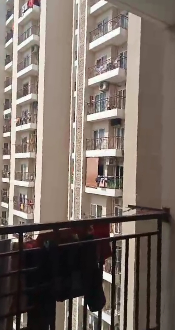 2 BHK + Pooja Room Apartment For Sale in Ace Divino