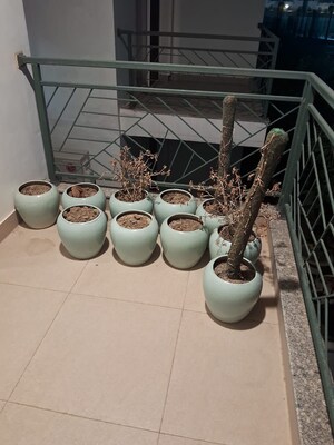 Bathroom in 3 BHK Builder Floor at Central Park Flower Valley Aqua Front Towers, Sohna Sector 33 – for Rent