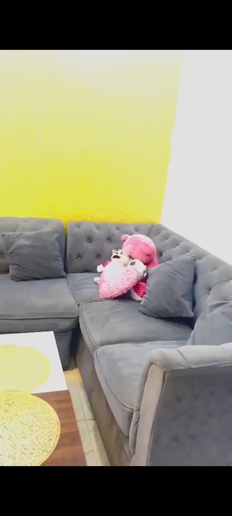 Bedroom, gaur-city-7th-avenue 2 Bedroom 534 Sq.Ft. Apartment In Sector 4 Greater Noida Greater Noida 9272330