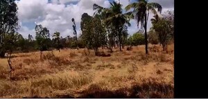  Plot For Sale in Bettenahalli