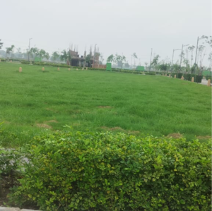  Plot – Garden View at Tdi City - for Sale