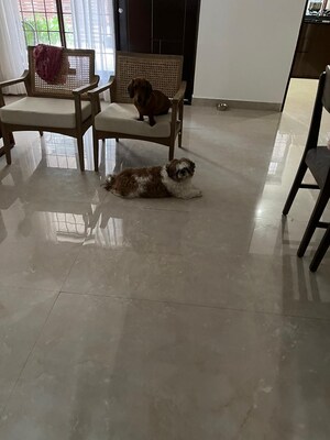 3 BHK Independent House – Exterior View View at Canal Road - for Sale