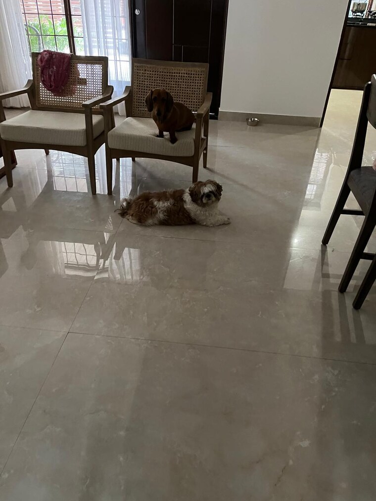 Exterior View, canal road 3 Bedroom 2500 Sq.Ft. Independent House In Canal Road Dehradun 9272831