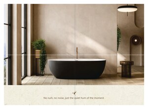 Furnished Amenities in 2 BHK Apartment at Siolim – for Sale