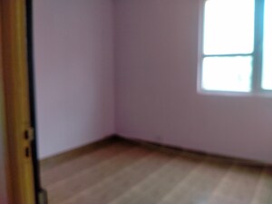 2 BHK Apartment For Rent in Tulip Lemon, Sector 69