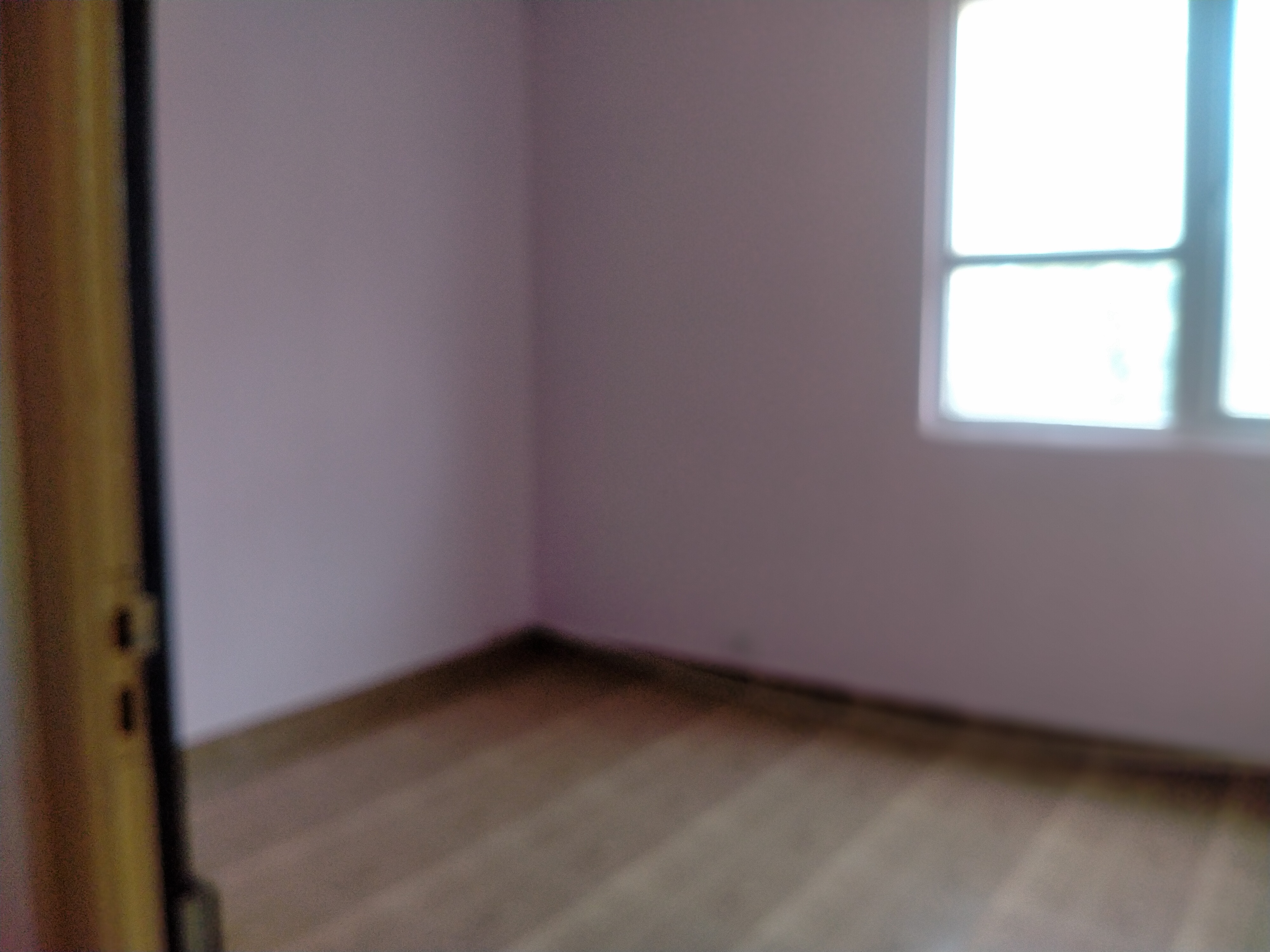 2 BHK Apartment For Rent in Tulip Lemon