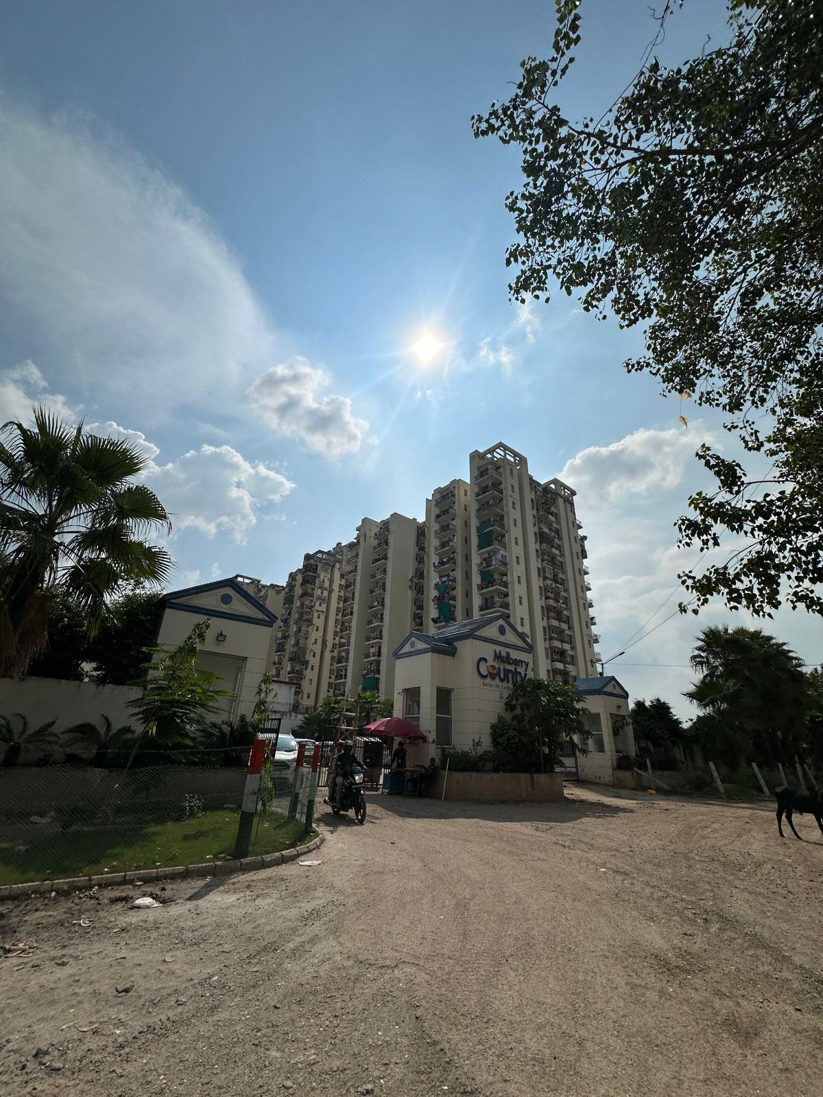 3 BHK Builder Floor For Sale in MGH Mulberry County