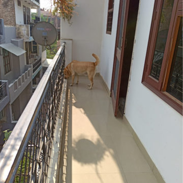 Balcony in 1.5 BHK Villa at Sector 23 – for Rent