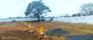 Plot Area in  Plot at Barela Road – for Sale
