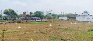Plot Area in  Plot at Barela Road – for Sale