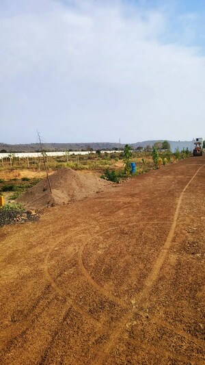 Plot Area in  Plot at Barela Road – for Sale