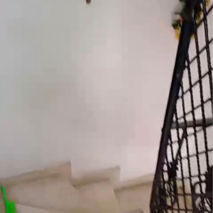 1 BHK Builder Floor For Rent in Lajpat Nagar I