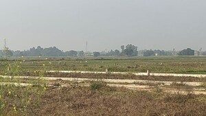  Plot For Sale in Kanhauli