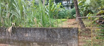 Plot Area in  Plot at Viyyur – for Sale