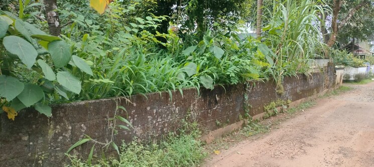 Garden, viyyur  5663 Sq.Ft. Plot In Viyyur Thrissur 9272968