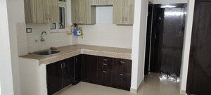 3 BHK Apartment For Rent in DLF The Skycourt, Sector 86