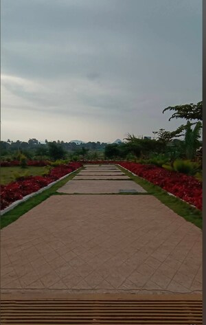  Plot For Sale in Chikkaballapur