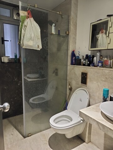 Bathroom in 1 BHK Apartment at Amanora Gateway Towers, Hadapsar – for Rent