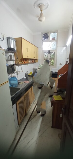 Kitchen in 1.5 BHK Apartment at Adchini – for Rent