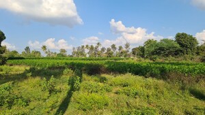  Plot For Sale in Adarsh Savana, Devanahalli