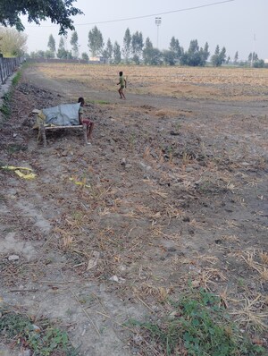 Plot Area in  Plot at Sector 148 – for Sale