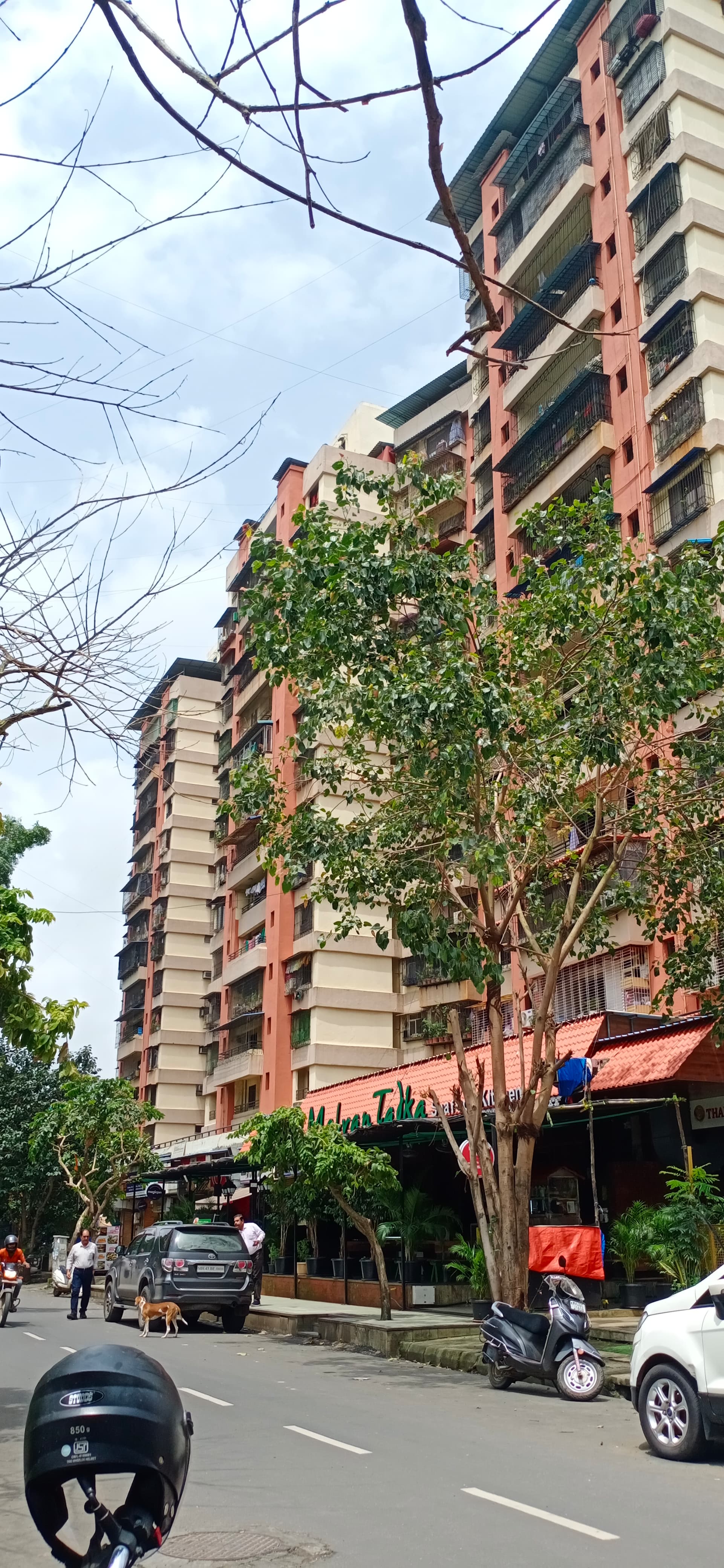 3 BHK + Servant Room,Extra Room Apartment For Sale in The Hard Rock