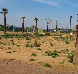 Plot Area in  Plot at Vatika Express City Plots, Sector 88a – for Sale