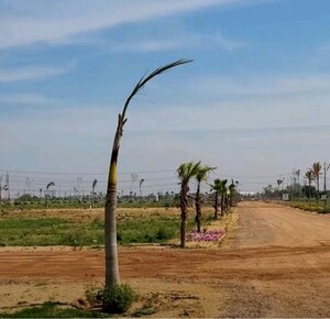 Plot Area in  Plot at Vatika Express City Plots, Sector 88a – for Sale