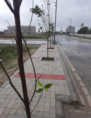  Plot – Exterior View View at Satya Merano Greens, Sector 99a - for Sale