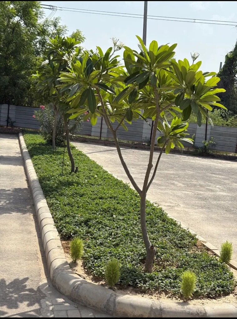 Garden, satya-merano-greens  179 Sq.Yd. Plot In Sector 99a Gurgaon 9273755