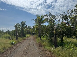 Plot Area in  Land at Unique Greens Ghodbunder Road, Ghodbunder Road – for Sale