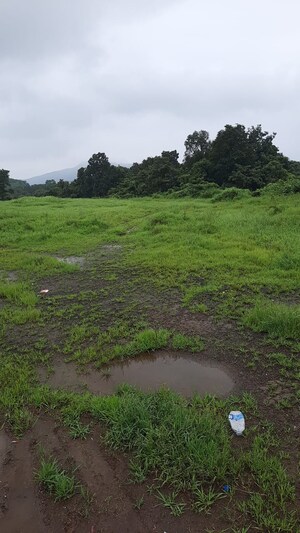  Plot For Sale in Swami CHS Borivali East, Borivali East