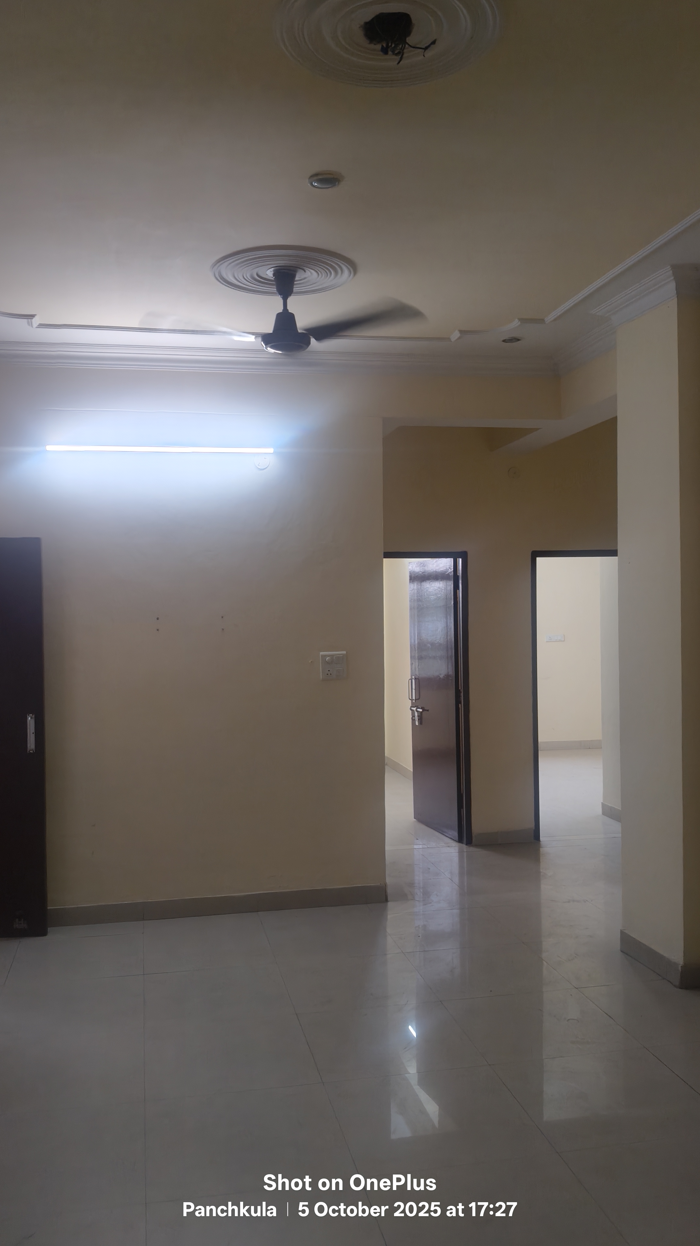 3 BHK + Pooja Room Apartment For Rent in Sector 20