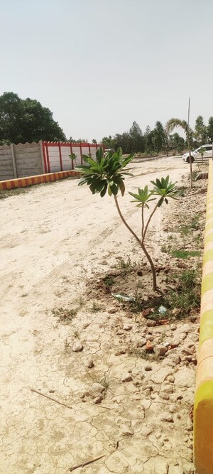  Plot – Exterior View View at Arjunganj - for Sale