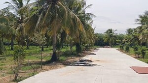 Plot Area in  Plot at Dindugal nh – for Sale