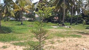 Plot – Garden View at Dindugal nh - for Sale