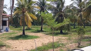  Plot – Garden View at Dindugal nh - for Sale