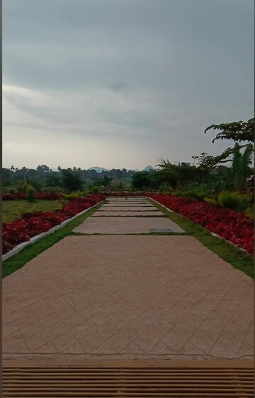  Plot For Sale in Chikkaballapur