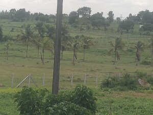  Land For Sale in Nandi Hills