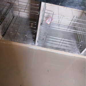 Balcony in 2 BHK Apartment at Adore Samriddhi, Sector 89 – for Rent