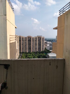 2 BHK Apartment – Exterior View View at Tulip Lemon, Sector 69 - for Rent