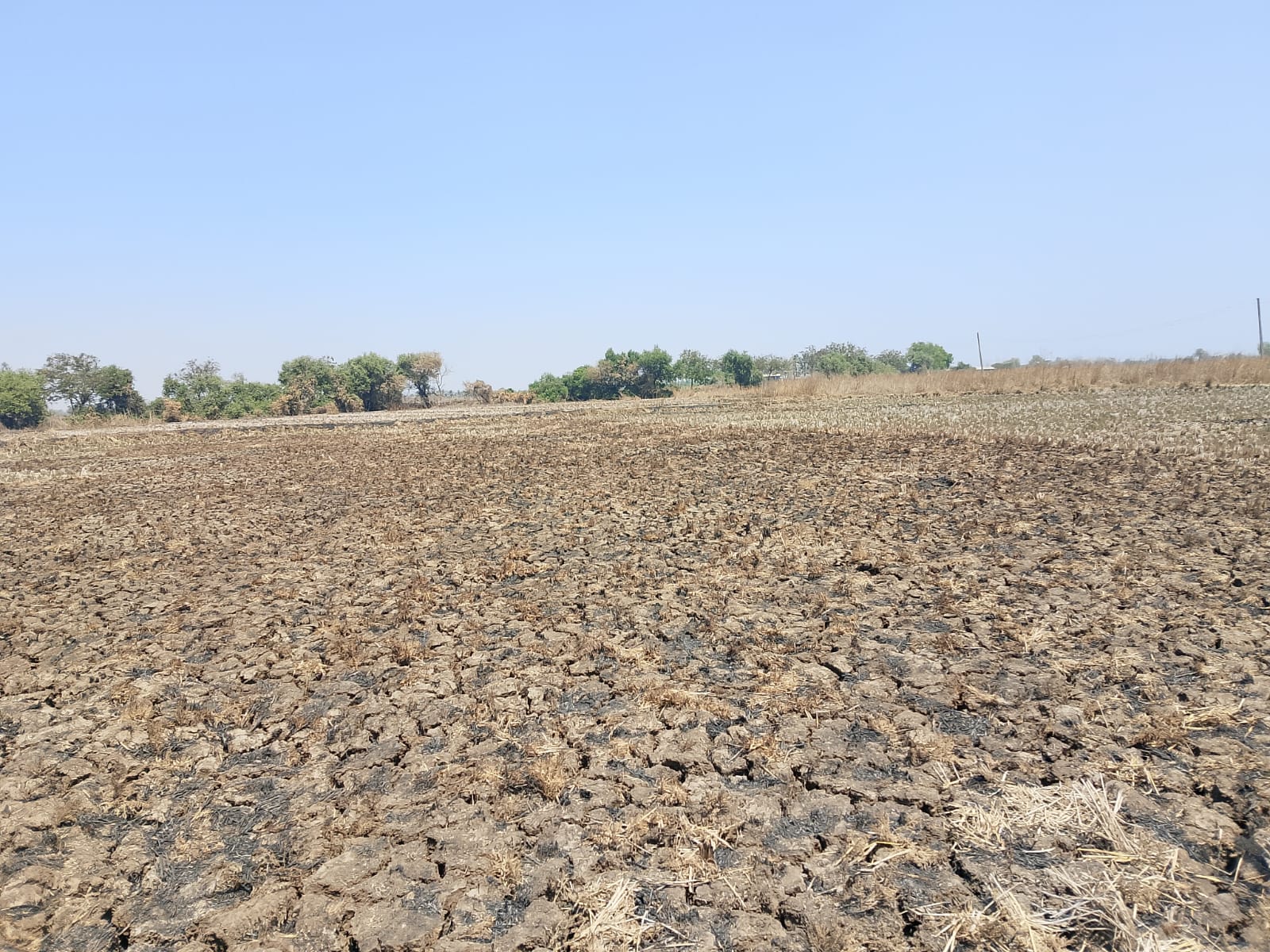 Plot For Sale in Investment Plot 
