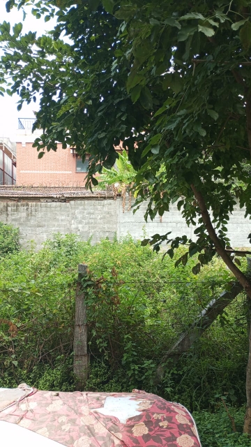 Plot For Sale in Rrrrrr 