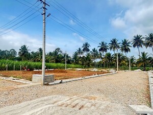 Plot Area in  Plot at Srirangapatna – for Sale
