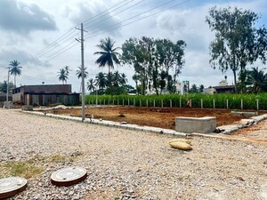 Plot Area in  Plot at Srirangapatna – for Sale