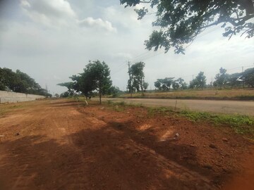 Plot Area in  Plot at Hoskote – for Sale
